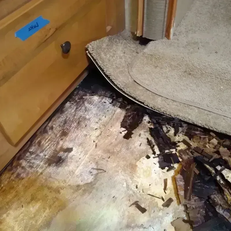 Wood Floor Water Damage in Cuthbert, GA